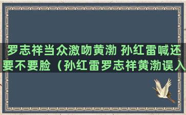 罗志祥当众激吻黄渤 孙红雷喊还要不要脸（孙红雷罗志祥黄渤误入婚礼是哪一期）